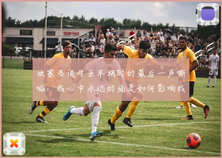 坎塞洛谈母亲车祸时的最后一声嘶喊，我心中永远的痛是如何影响我的2026赛季